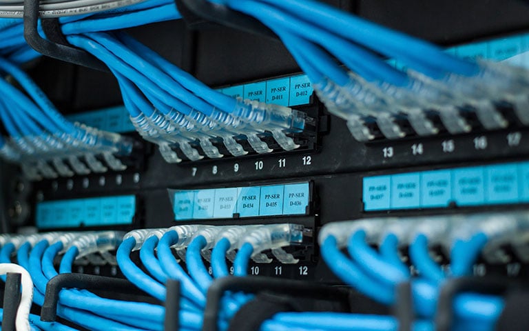 Close up photo of networking cables